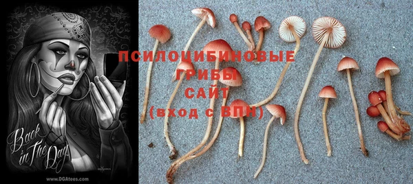 дживик Заволжск