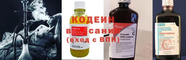 2c-b Ельня