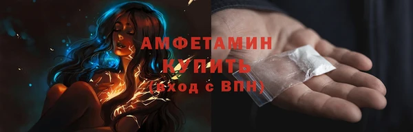 2c-b Ельня