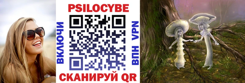 Галлюциногенные грибы Psilocybe  Купить где  Новоржев 